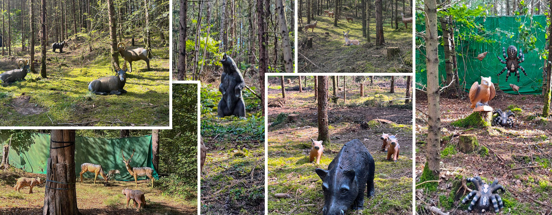 Wiedereröffnung des Parcours